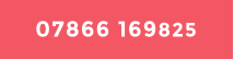 07866 169825
